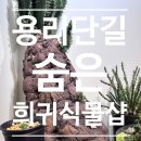 비자르플랫폼