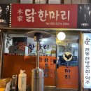 본가원조닭한마리 | [을지로맛집] 국물이 맛있는 노포 맛집 본가원조닭한마리 내돈내산 후기