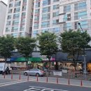신수동길 이미지