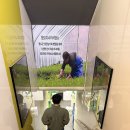 동대문식당 | 동대문 DDP 근처 들깨미나리오리탕 맛집 청도미나리식당 동대문점 후기