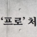 국관장체육관 이미지