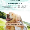 펫힐링센터 이미지