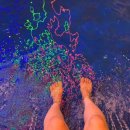 솔내음 백숙 이미지