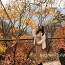 (주)노블아이 산후조리원 이미지