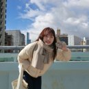 이리오너라 이미지