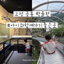 경남 고성 공룡 박물관 후기 가족여행 아이와 가볼만한 곳 가격 운영시간 편의시설 꿀팁
