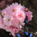 명당1리 경로당 이미지