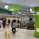 닥터펫동물의료센터 | 반려동물 토털 케어 스토어 콜리올리 펫 타운 롯데마트 신갈점