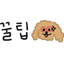 글로벌컴퓨터학원