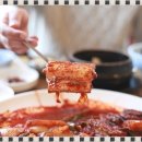어애랑 이미지
