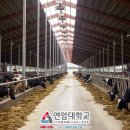 기대축산 이미지