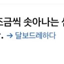 달보드레24 이미지
