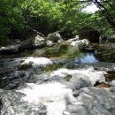 청수대중탕 Daum카페