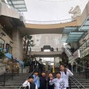 강성장태권도 이미지