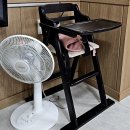 토속식당 | 강원토속식당 내돈내산 후기