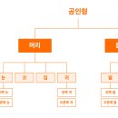 우리디자인 기획