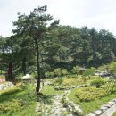 수목장 이미지