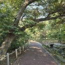 본래순대 함양상림점 이미지