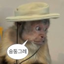 순천만국가정원 습지센터 소회의실 5(1층) | 진저와 함께하는 꼬레아 기행 5탄, <낙안읍성,순천만국가정원,순천만습지> feat. 결혼공격