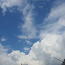 지구부동산중개 이미지