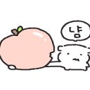 우가원 이미지