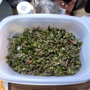 땡초이야기 이미지