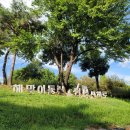 대구선아양공원 k2 앞 | [대구 동구] 효목시장