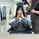 [강남역 미용실] 살롱드라피네 본점 | 가원 디자이너 나노힐 클리닉 후기 (소요시간)