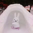 다담보이차 이미지