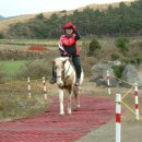 사진마당 이미지