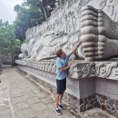 한림원 한약국 이미지