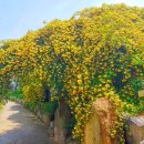 감로한의원 이미지