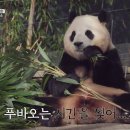 I.헤어토크 이미지