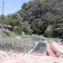 세희농장 이미지