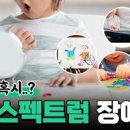 자폐스펙트럼장애 증상 아기 자폐아 치료 특징 이미지