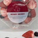 별이 펫푸드 이미지