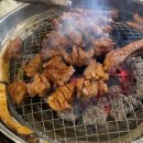 무스비브로