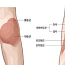 덩키 이미지