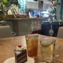 프로방스 | [분당/정자] 새벽까지 영업하고 데이트하기 좋은 정자 카페 | 엑성프로방스 내돈내산 후기