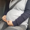 하단 안전벨트 네이버블로그