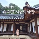 오죽헌시립박물관 | 강릉역사여행 오죽헌 시립박물관 입장료 문화해설 후기 강릉아이와가볼만한곳