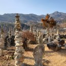 박재도농장 이미지