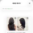 콘크리트헤어 네이버블로그