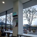 임실엔치즈피자인동점 | 옥정호 근처카페 임실엔치즈하우스 임실치즈피자 메뉴소개 후기