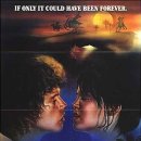 파라다이스(PARADISE) 이미지