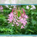 장매마을 이미지