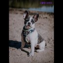 [시민] 영어회화 이미지