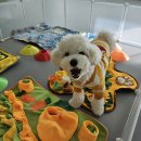 차차네 유치원 이미지