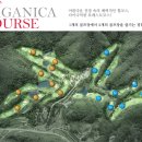파가니카C.C 이미지