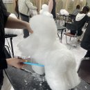 쇼독(Show dog) 이미지